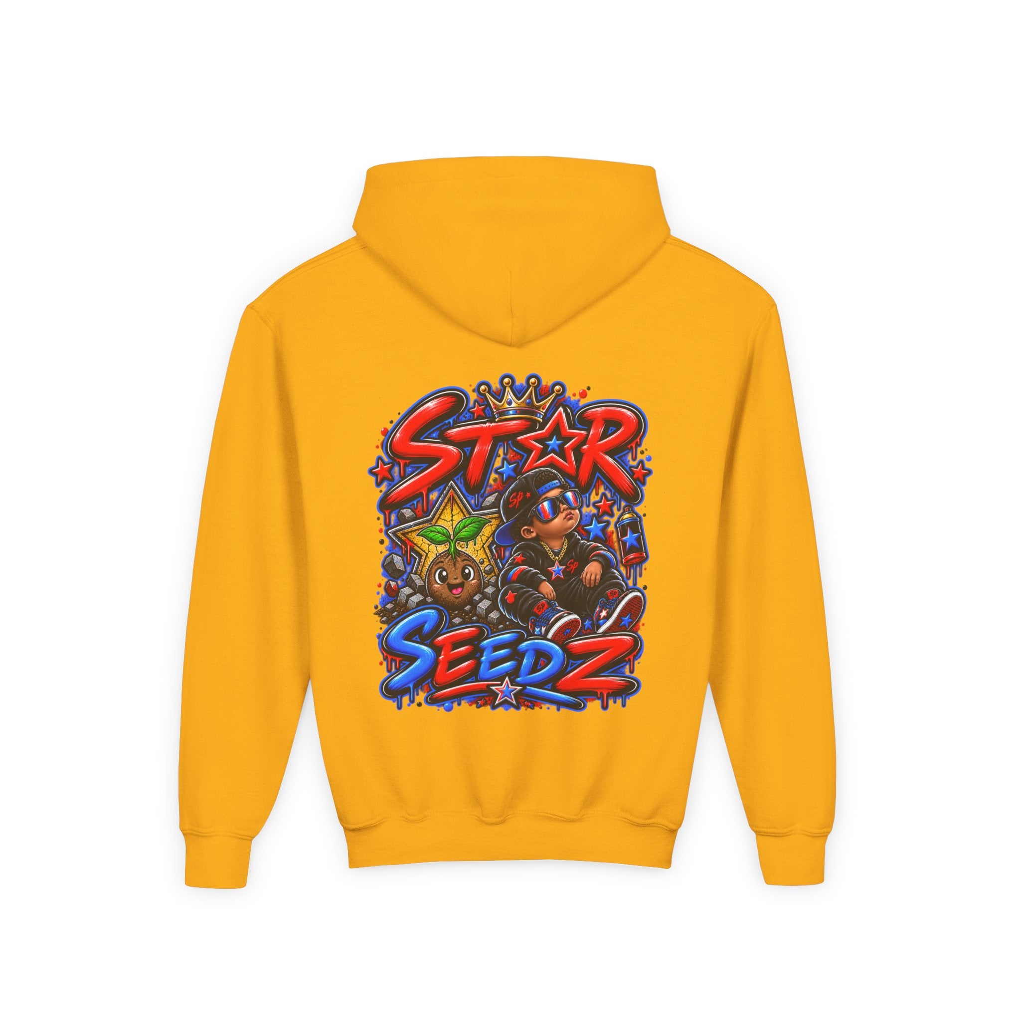 Youth Hoodie — 'Star Seedz' Colorful Street Art Logo Pullover